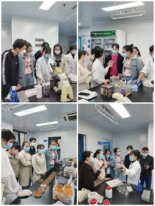 海南省食品安全協(xié)會(huì)成功舉辦2024年食品檢驗(yàn)員職業(yè)技能培訓(xùn)班暨微整形培訓(xùn)學(xué)校專題活動(dòng)